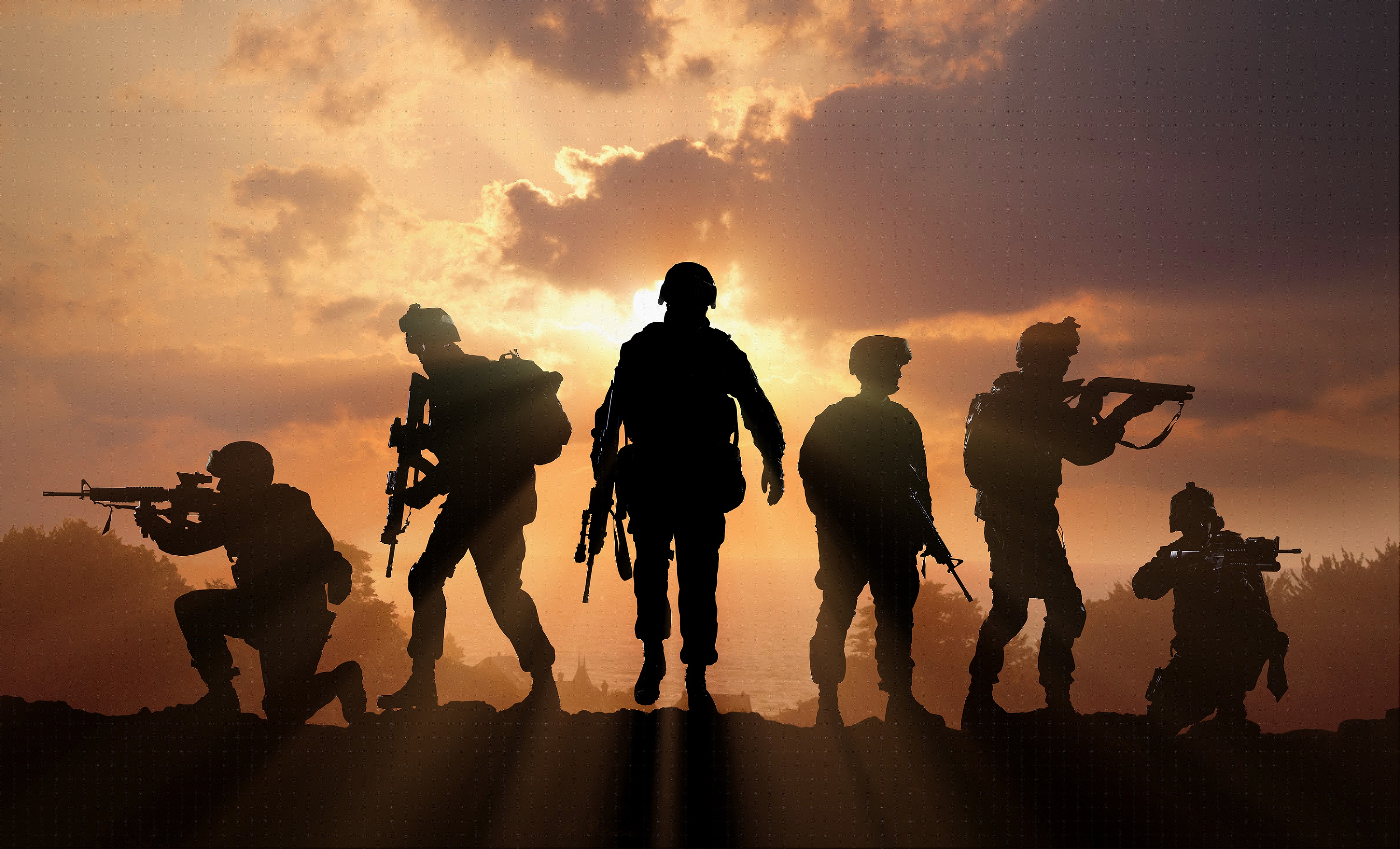 Defence